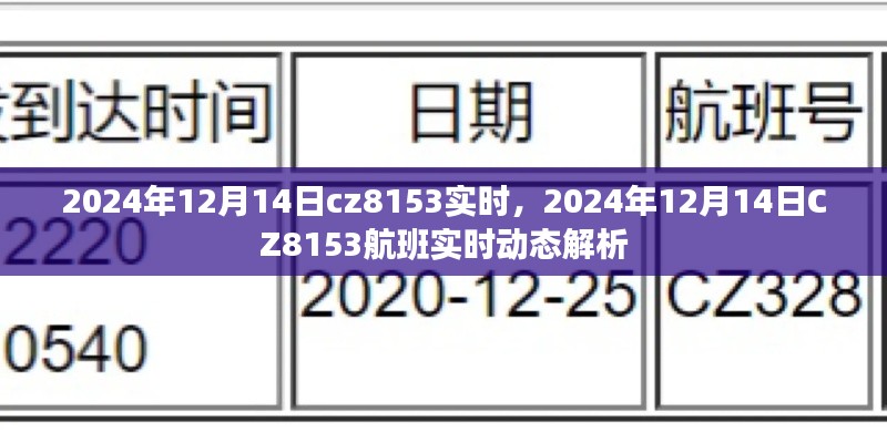 獨(dú)家解析，CZ8153航班在2024年12月14日的實(shí)時(shí)動(dòng)態(tài)