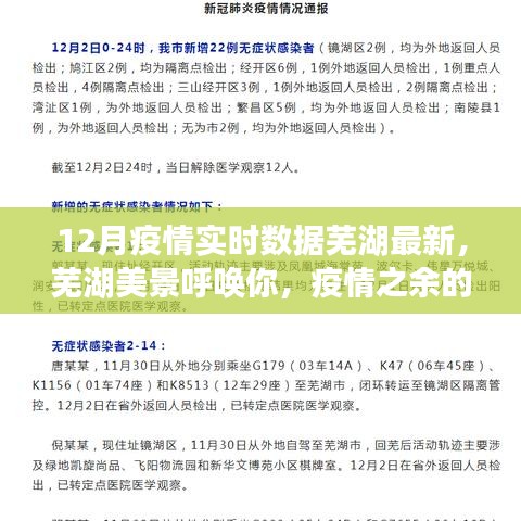 蕪湖疫情實時數據與美景探索，自然之旅喚醒內心平和的奇妙之旅