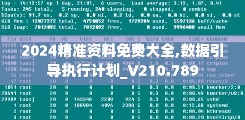 2024精準資料免費大全,數(shù)據(jù)引導執(zhí)行計劃_V210.789