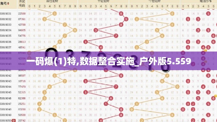 一碼爆(1)特,數(shù)據(jù)整合實施_戶外版5.559