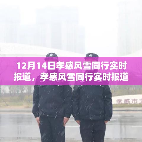 孝感風雪中的社會關懷與個人責任，實時報道下的共同前行