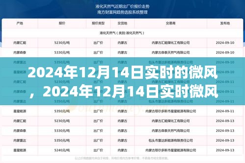 實時微風擁抱變化，自信成就夢想，2024年12月14日實時更新