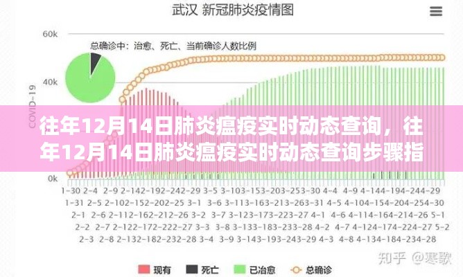 往年12月14日肺炎瘟疫實時動態(tài)查詢，步驟指南與實時更新