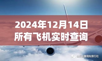 探秘小巷深處的寶藏，揭秘2024年飛機實時查詢軟件之旅