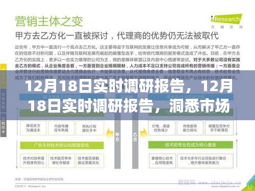 揭秘市場動態(tài)與行業(yè)趨勢，最新實(shí)時調(diào)研報(bào)告（12月18日）