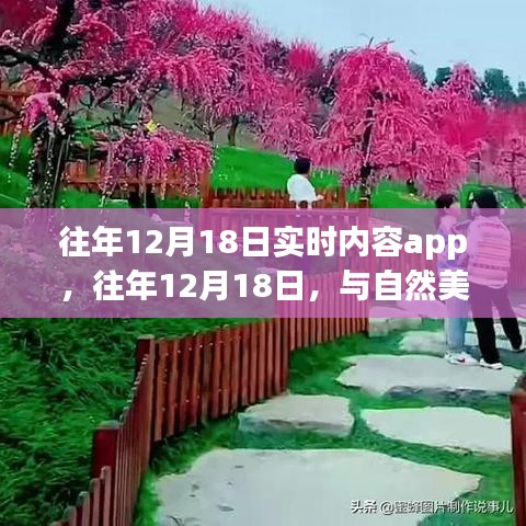 往年12月18日實(shí)時(shí)內(nèi)容app，與自然美景的不期而遇的心靈之旅領(lǐng)航者