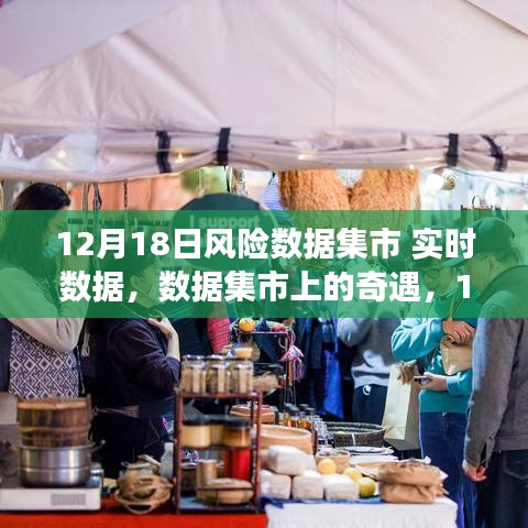 12月18日風(fēng)險(xiǎn)數(shù)據(jù)集市實(shí)時(shí)之旅，探尋數(shù)據(jù)奇遇