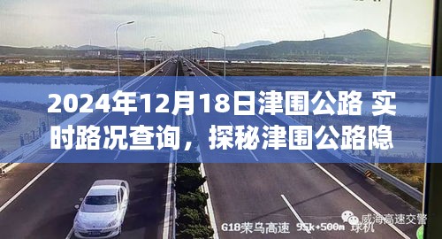 探秘津圍公路美食秘境，實時路況下的意外驚喜與美食秘境探索（附日期）
