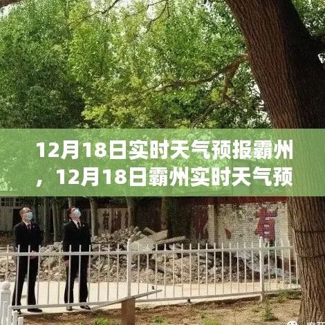 霸州綠色之旅，尋找內(nèi)心平靜的天氣預報之旅（12月18日實時更新）