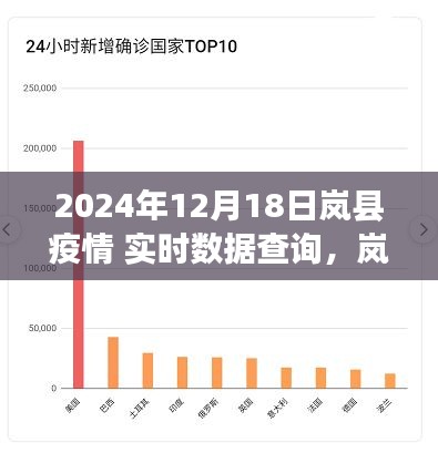嵐縣疫情實時數(shù)據(jù)查詢指南，初學者與進階用戶適用的步驟指南（截至2024年12月18日）