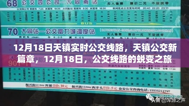 天鎮(zhèn)公交新篇章，公交線(xiàn)路蛻變之旅，12月18日實(shí)時(shí)更新