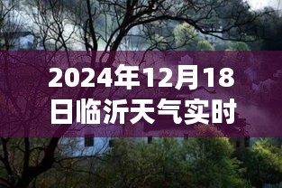 臨沂特色小店揭秘，冬日小巷深處的天氣秘密與別樣風(fēng)情實(shí)時(shí)播報(bào)下載