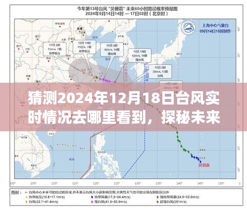 指尖掌控未來天氣，揭秘2024年臺(tái)風(fēng)實(shí)時(shí)追蹤與預(yù)測