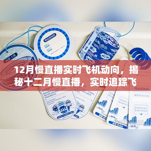 揭秘十二月慢直播，實(shí)時(shí)追蹤飛機(jī)的天際之旅動(dòng)態(tài)