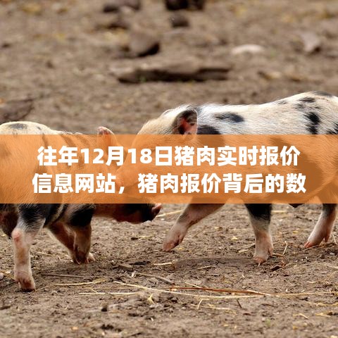 豬肉報價背后的數(shù)字魔法，學(xué)習(xí)變化，成就夢想之路