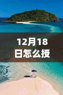 寧靜冬日里的實(shí)時(shí)授權(quán)之旅，探索自然美景，尋找內(nèi)心的平和與寧靜
