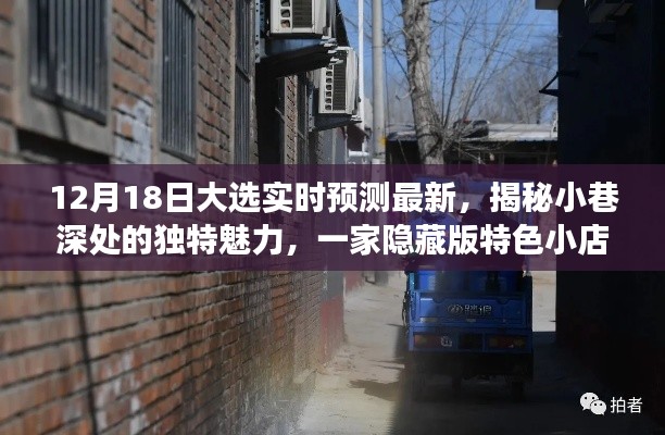 特色小店揭示，大選實(shí)時(shí)預(yù)測之旅，小巷深處的獨(dú)特魅力展現(xiàn)