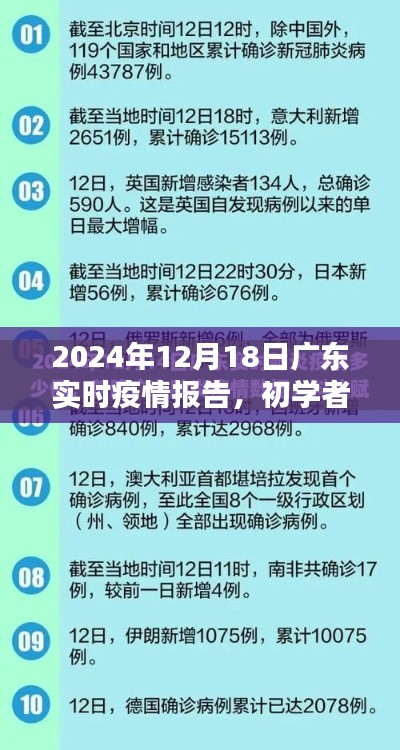 廣東實(shí)時(shí)疫情報(bào)告詳解，初學(xué)者指南與步驟解析（2024年12月版）