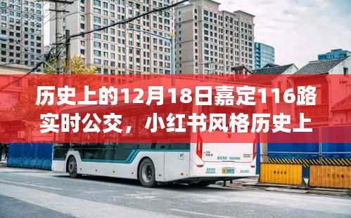 揭秘歷史中的某一天，嘉定公交116路實(shí)時(shí)軌跡與故事回顧（小紅書(shū)風(fēng)格）