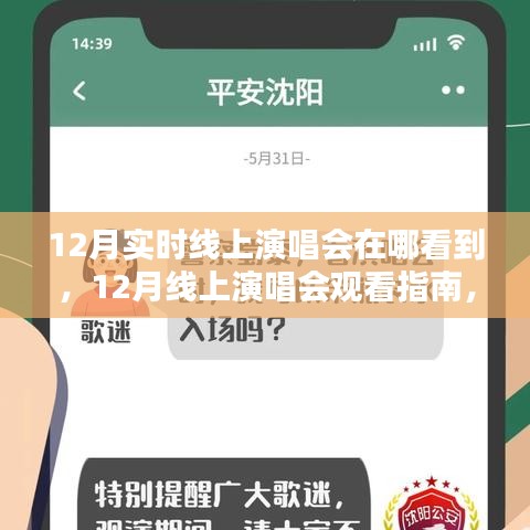 12月線上演唱會觀看指南，尋找最佳觀演體驗(yàn)的途徑