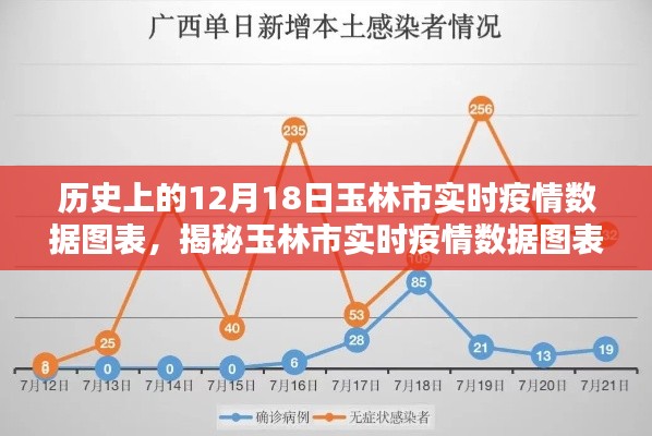 歷史上的12月18日玉林市疫情數(shù)據(jù)圖表深度解析，實時數(shù)據(jù)與趨勢分析