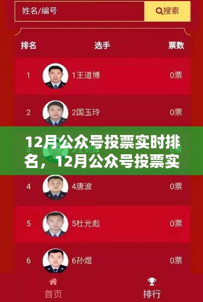 12月公眾號(hào)投票實(shí)時(shí)排名，全面評(píng)測(cè)與深度解析
