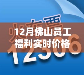 12月佛山員工福利概覽，溫情紐帶與驚喜時刻