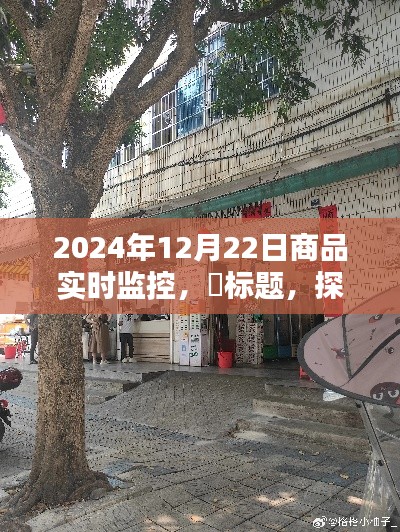 探秘小巷深處的寶藏，特色商品實(shí)時(shí)監(jiān)控小店在行動