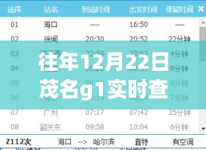 往年12月22日茂名G1實時查詢，深度分析與個人觀點總結(jié)報告