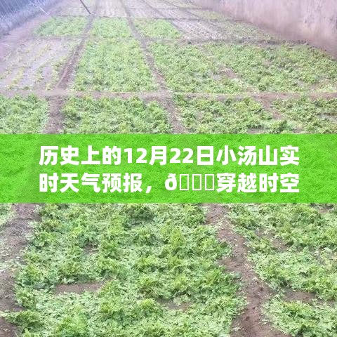 對答如流 第3頁