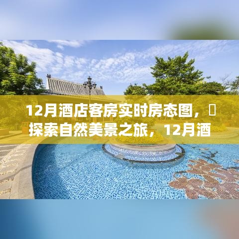12月酒店客房實時房態(tài)圖，自然美景之旅，探尋內(nèi)心的寧靜與微笑之旅