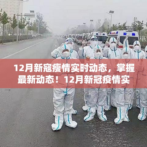12月新冠疫情實時追蹤，最新動態(tài)與應(yīng)對策略指南
