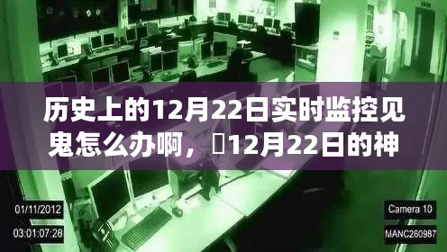 坌鳥先飛 第3頁