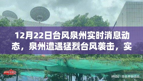泉州遭遇猛烈臺風(fēng)襲擊，實時消息動態(tài)與深遠(yuǎn)影響分析（12月22日臺風(fēng)更新）