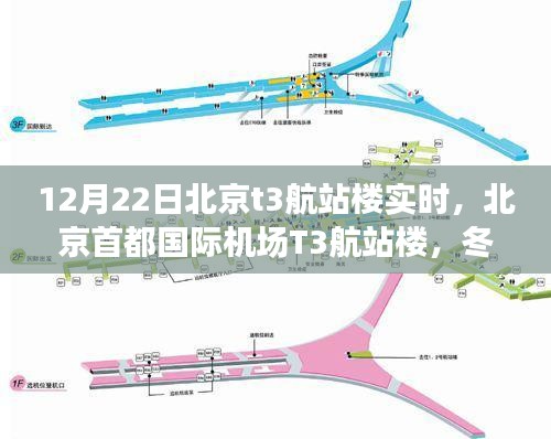 冬至?xí)r刻的樞紐脈動(dòng)，北京首都國(guó)際機(jī)場(chǎng)T3航站樓實(shí)時(shí)觀察
