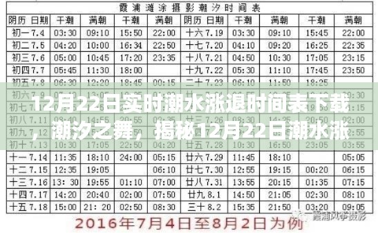 揭秘潮汐之舞背后的故事，12月22日潮水漲退時間表下載全解析