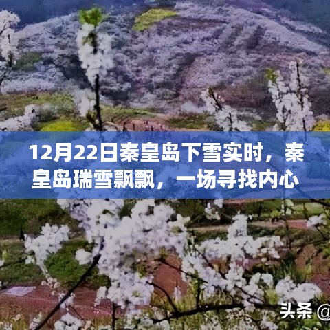 秦皇島瑞雪飄飄，雪域之旅尋找內(nèi)心平靜的時(shí)刻