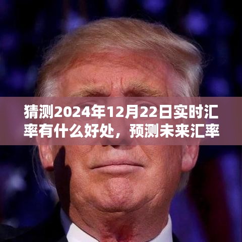 2024年12月22日實時匯率猜測的利弊分析，預(yù)測未來匯率的利弊探討