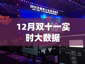 雙十一實時大數(shù)據(jù)揭秘，12月購物狂歡節(jié)盛況