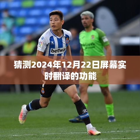 實時屏幕翻譯功能預測，未來在望，2024年12月22日的新突破