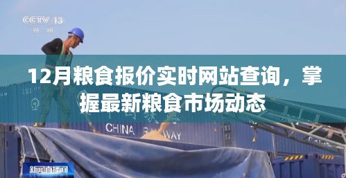 12月糧食報價實時查詢，掌握市場動態(tài)行情