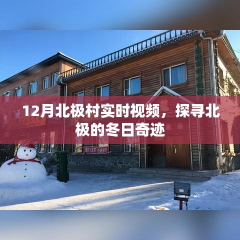 北極村冬季實時視頻，探尋冬日奇跡
