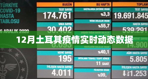 土耳其十二月疫情實(shí)時(shí)更新數(shù)據(jù)