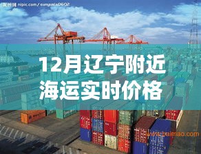 遼寧附近海運(yùn)最新實(shí)時(shí)價(jià)格查詢
