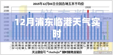 浦東臨港天氣預報實時查詢
