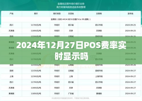 建議，2024年P(guān)OS費率實時顯示功能介紹及影響分析。