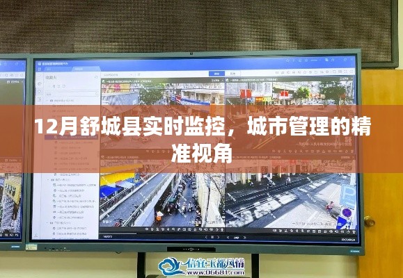 舒城縣城市管理精準(zhǔn)視角，實(shí)時(shí)監(jiān)控助力城市治理