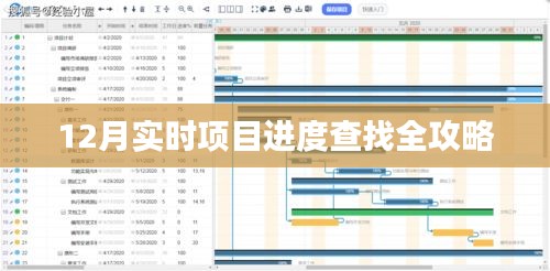12月項目進度查詢?nèi)ヂ?，實時追蹤，輕松掌握