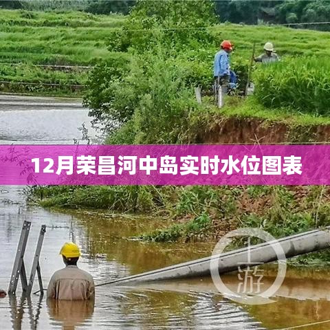 榮昌河中島實(shí)時(shí)水位圖表（動態(tài)更新）