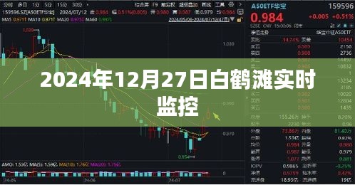 白鶴灘水電站實時監(jiān)控，揭秘大壩運行實況